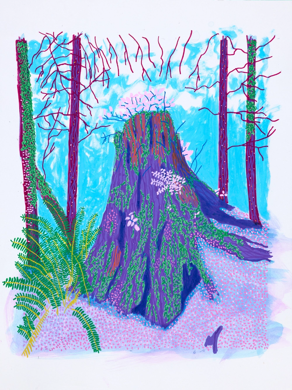 purple tree stump drawing by Vancouver emerging artist