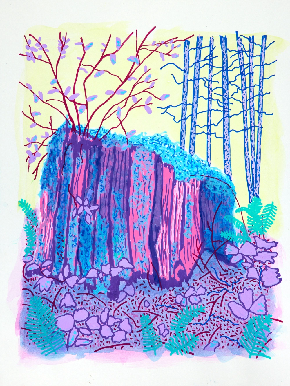 Vancouver artist drawing of tree stump in bright colours