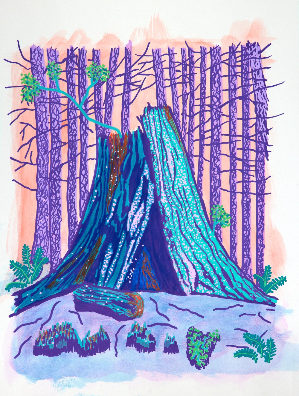 posca paint pen drawing of tree stump by Parker Street Studio artist