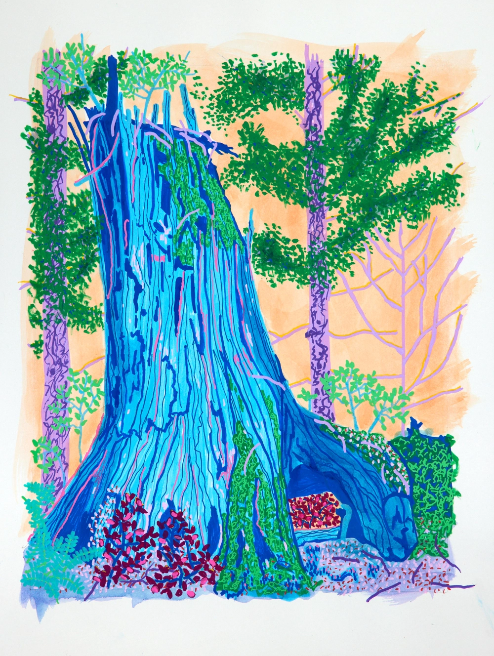 emerging Vancouver artists drawing of abstract landscape