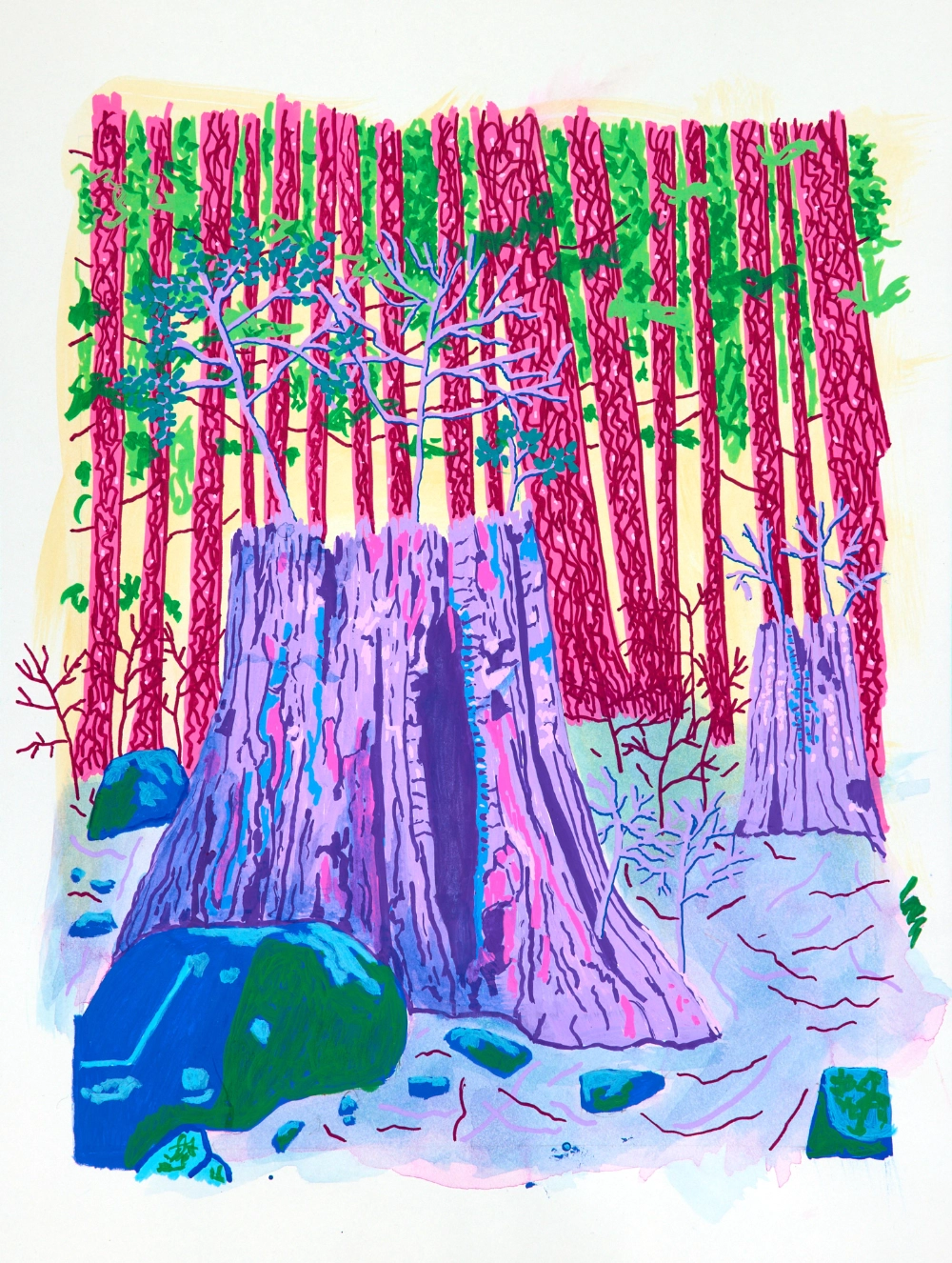 acrylic paint pen abstracted landscape drawing of North Vancouver tree stump