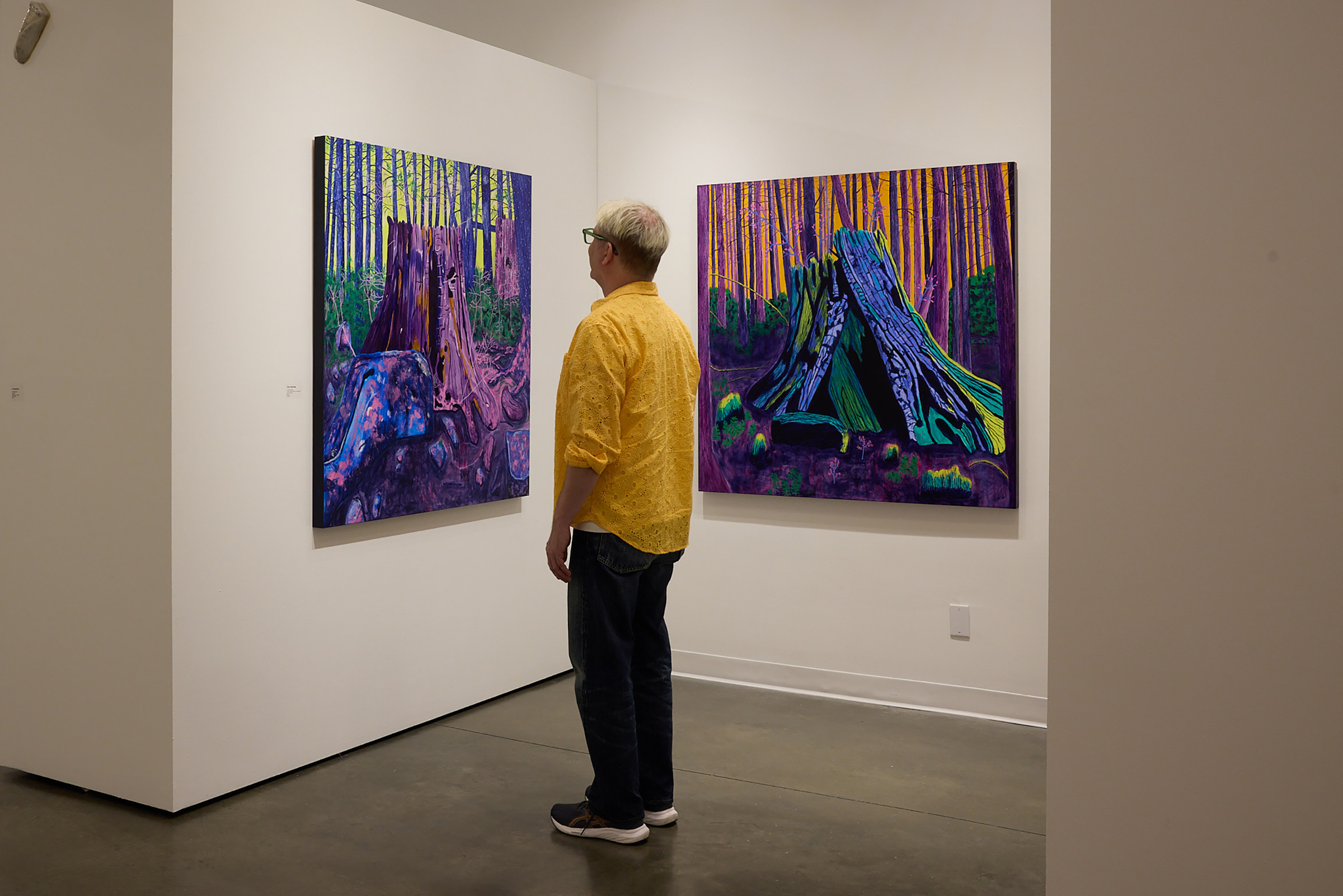 Seymour Art Gallery’s New & Emerging Show